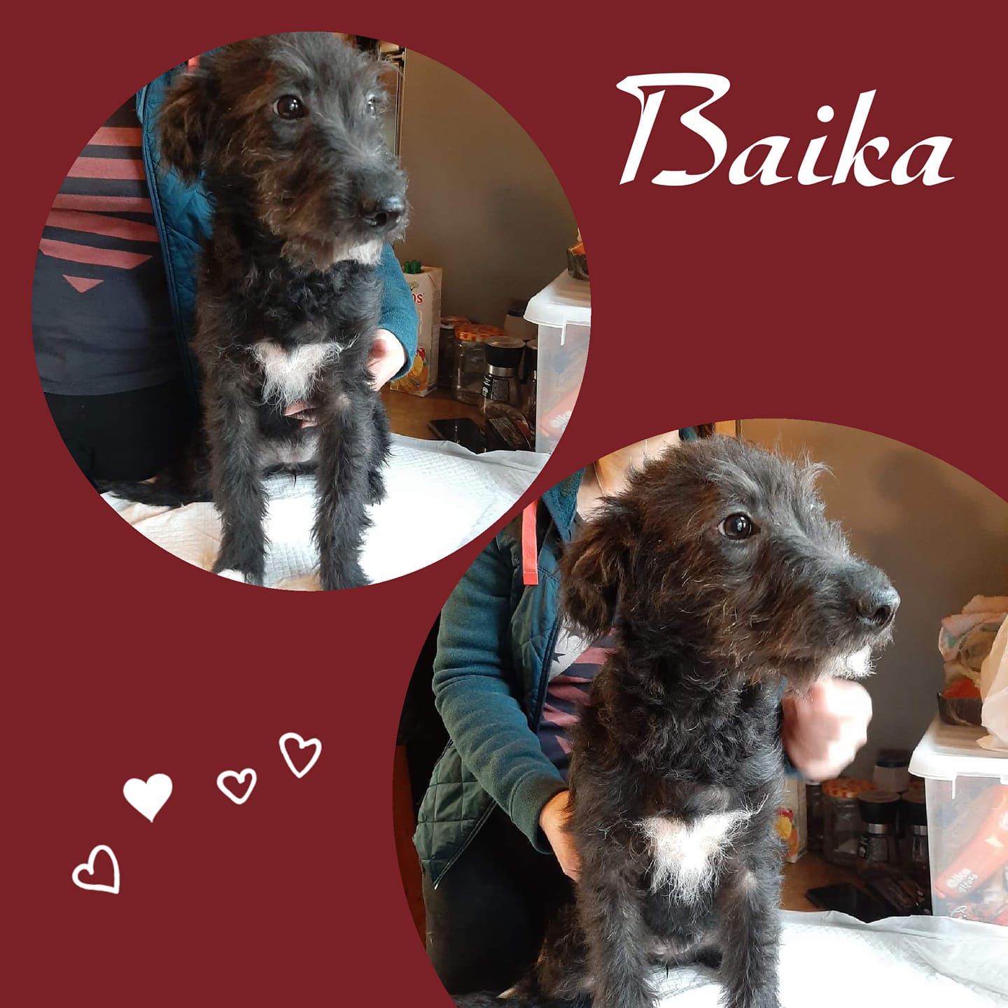 Baika
