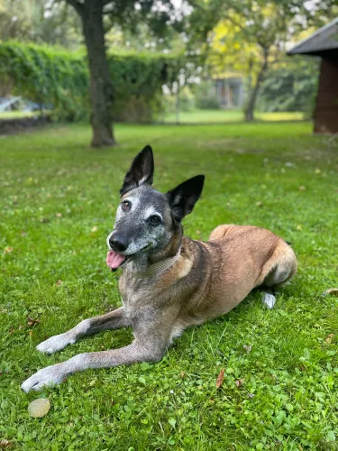 Anouk