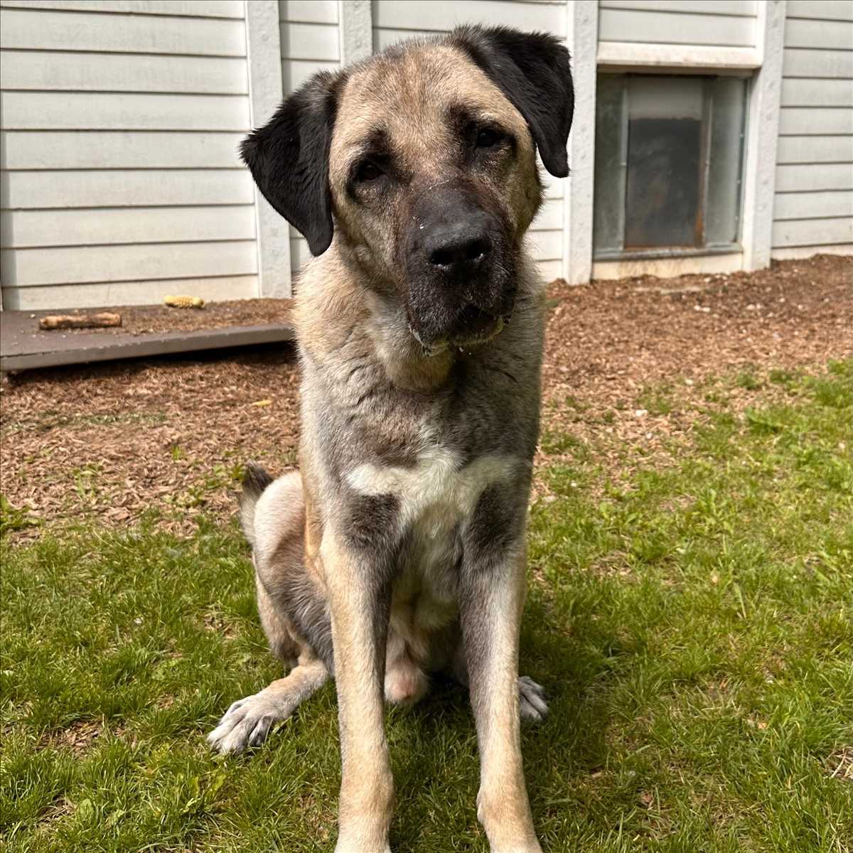REIS
