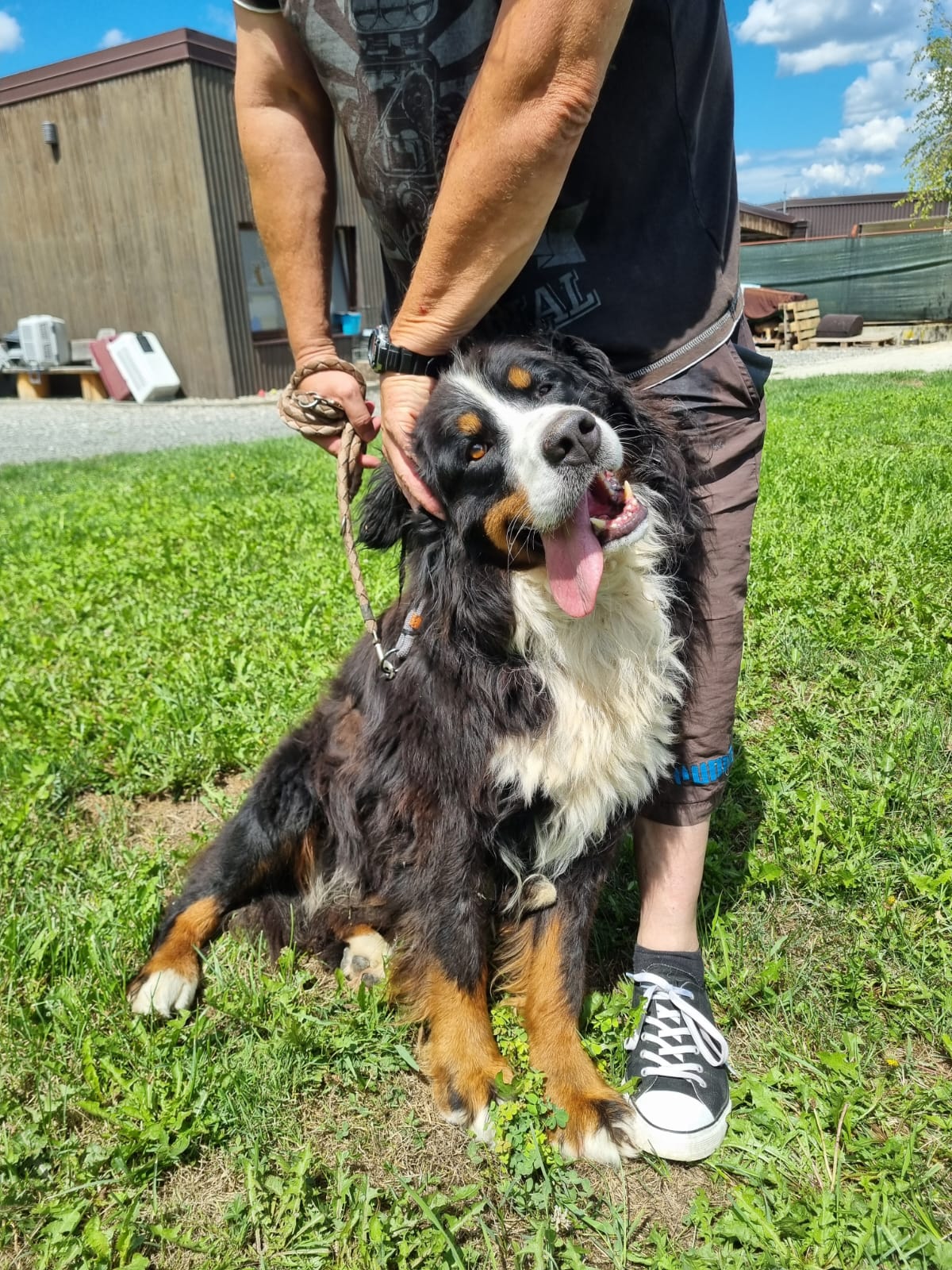 Ben