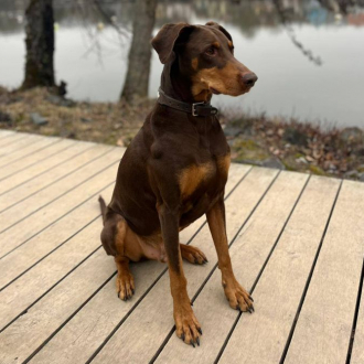 Max