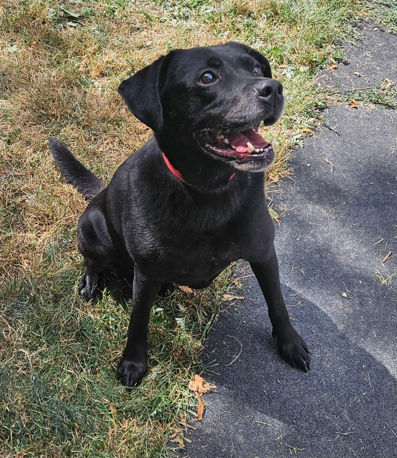Lenny
