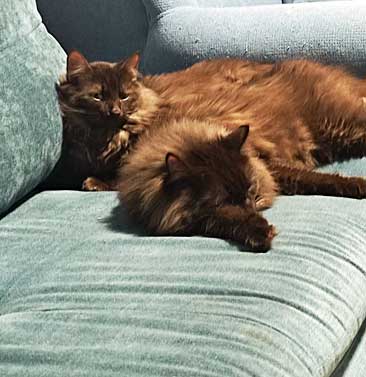 Leo und Sammy