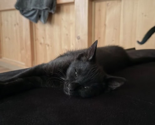 Nori