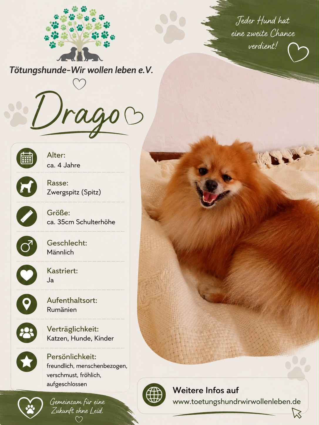 Drago