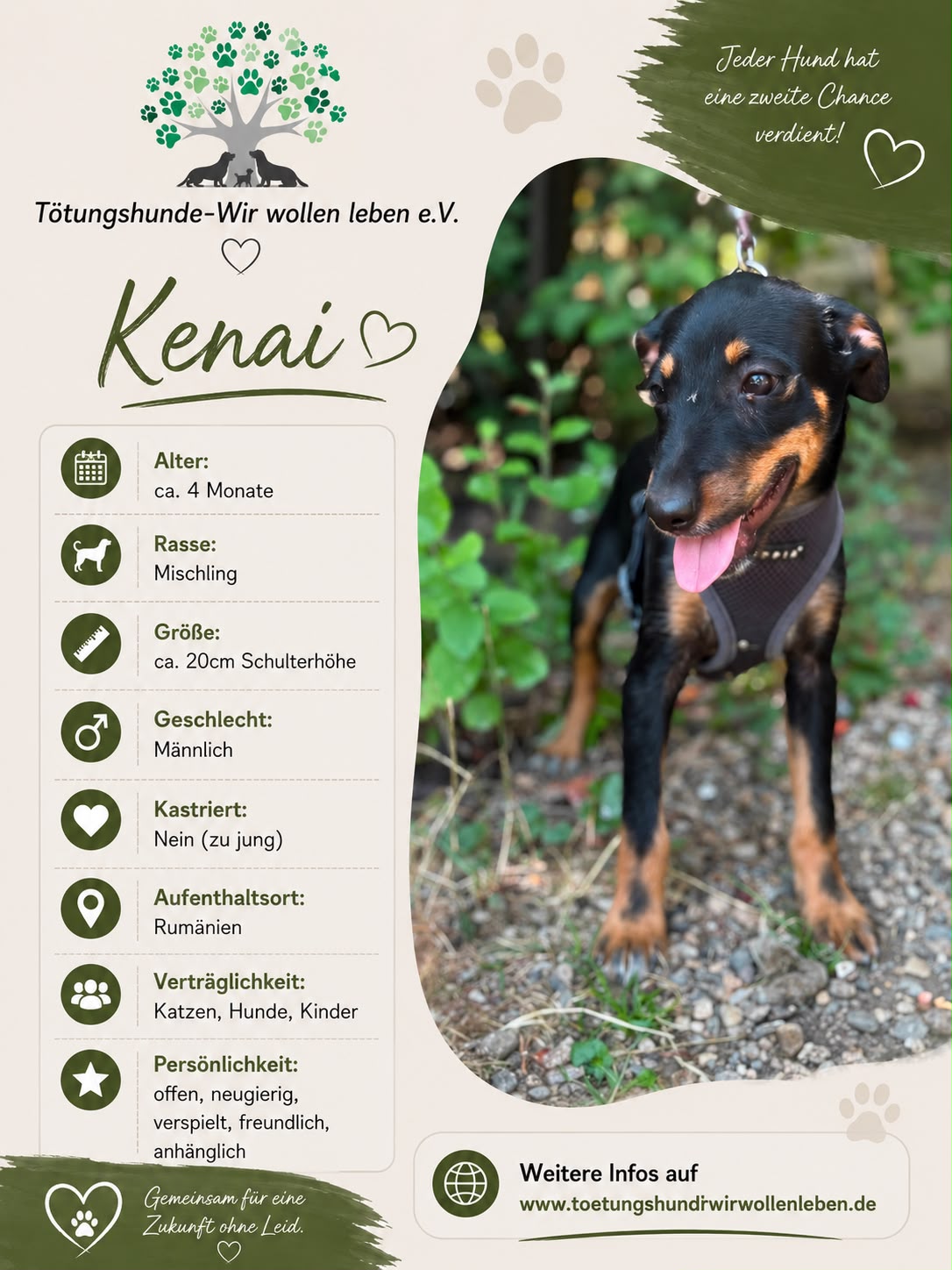 Kenai