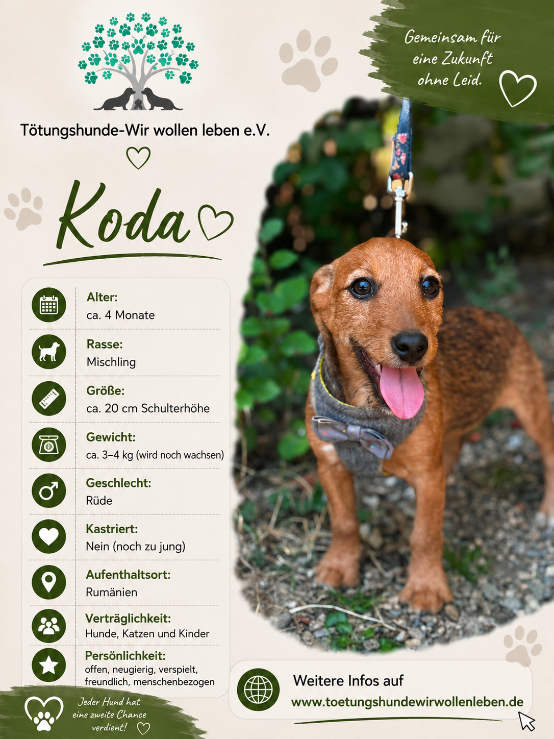 Koda