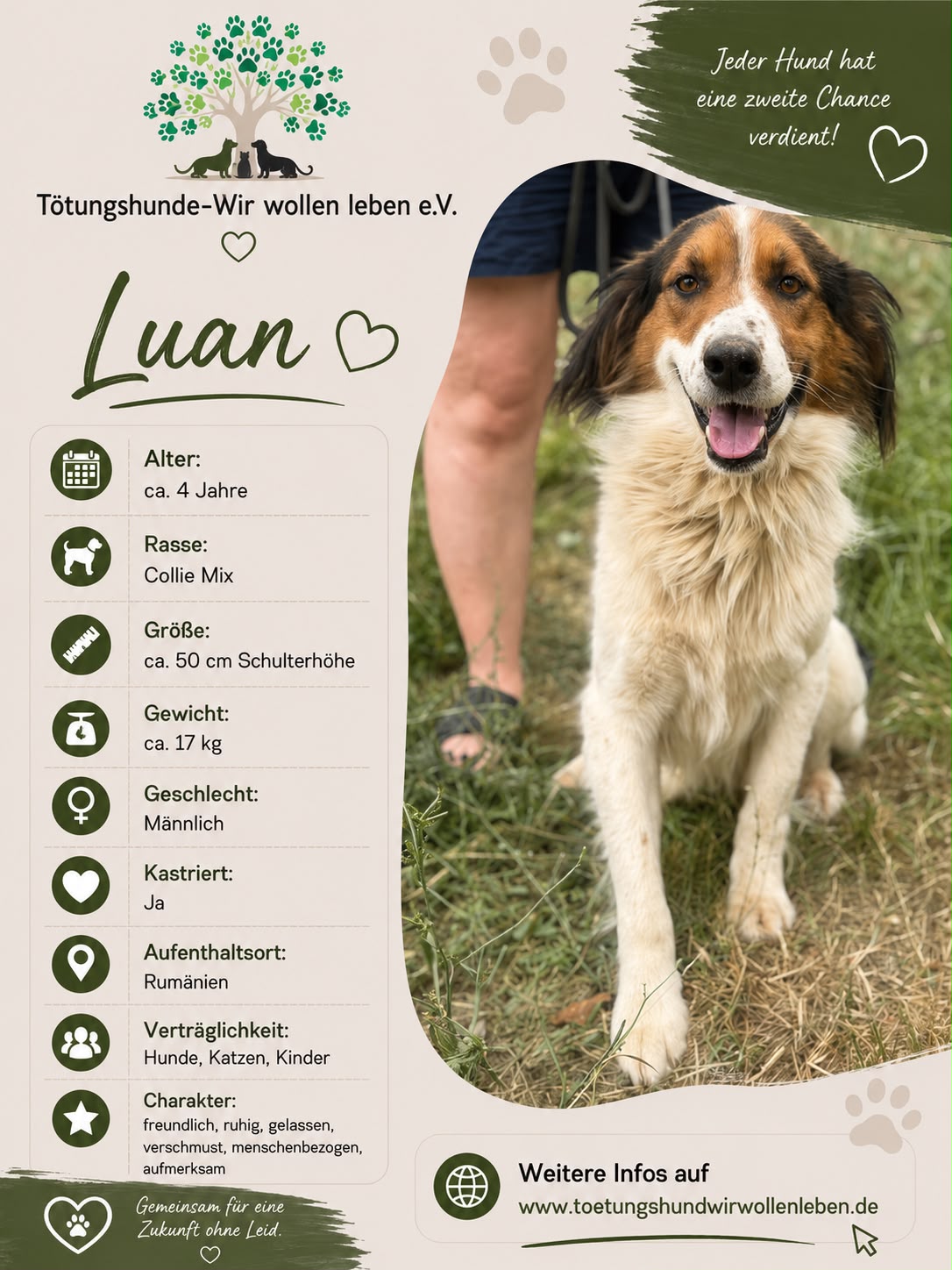 Tötungshunde - wir wollen leben e.V.