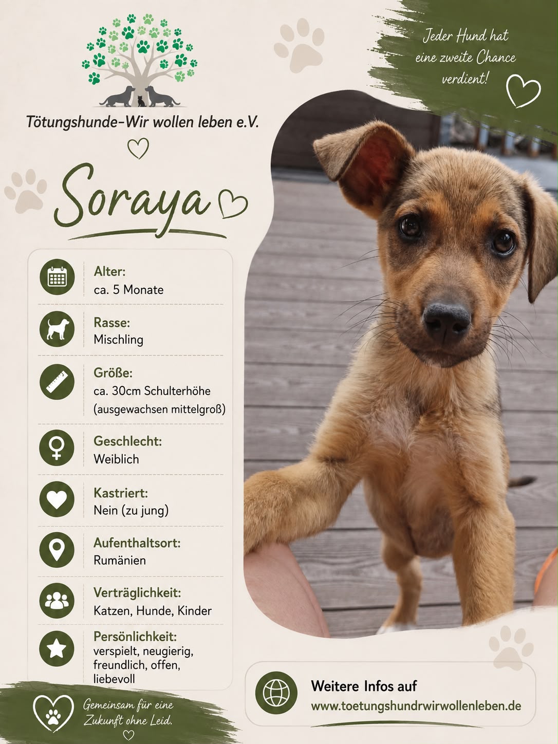Soraya