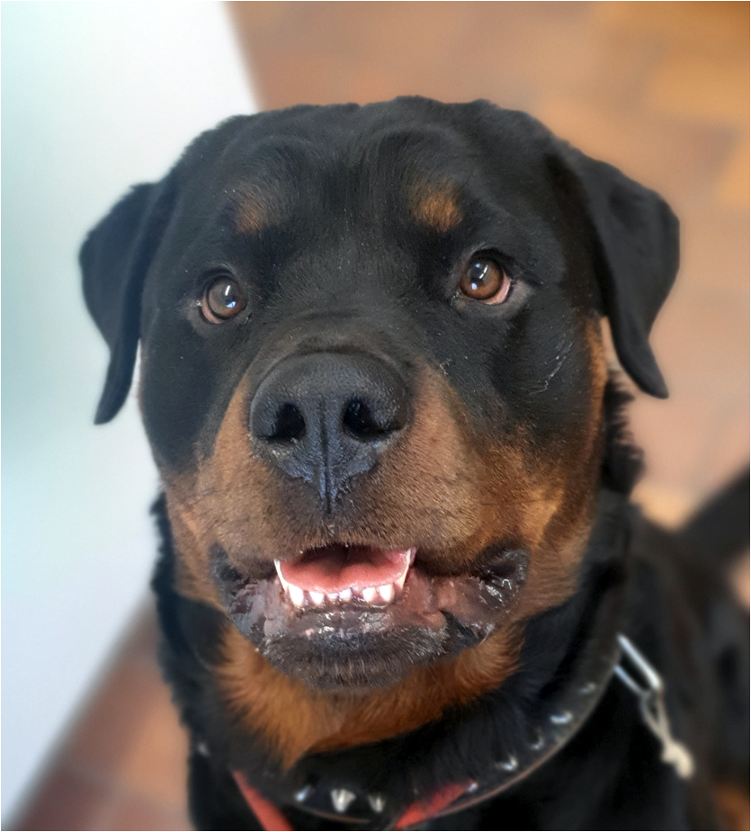 Balu