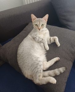 Silver