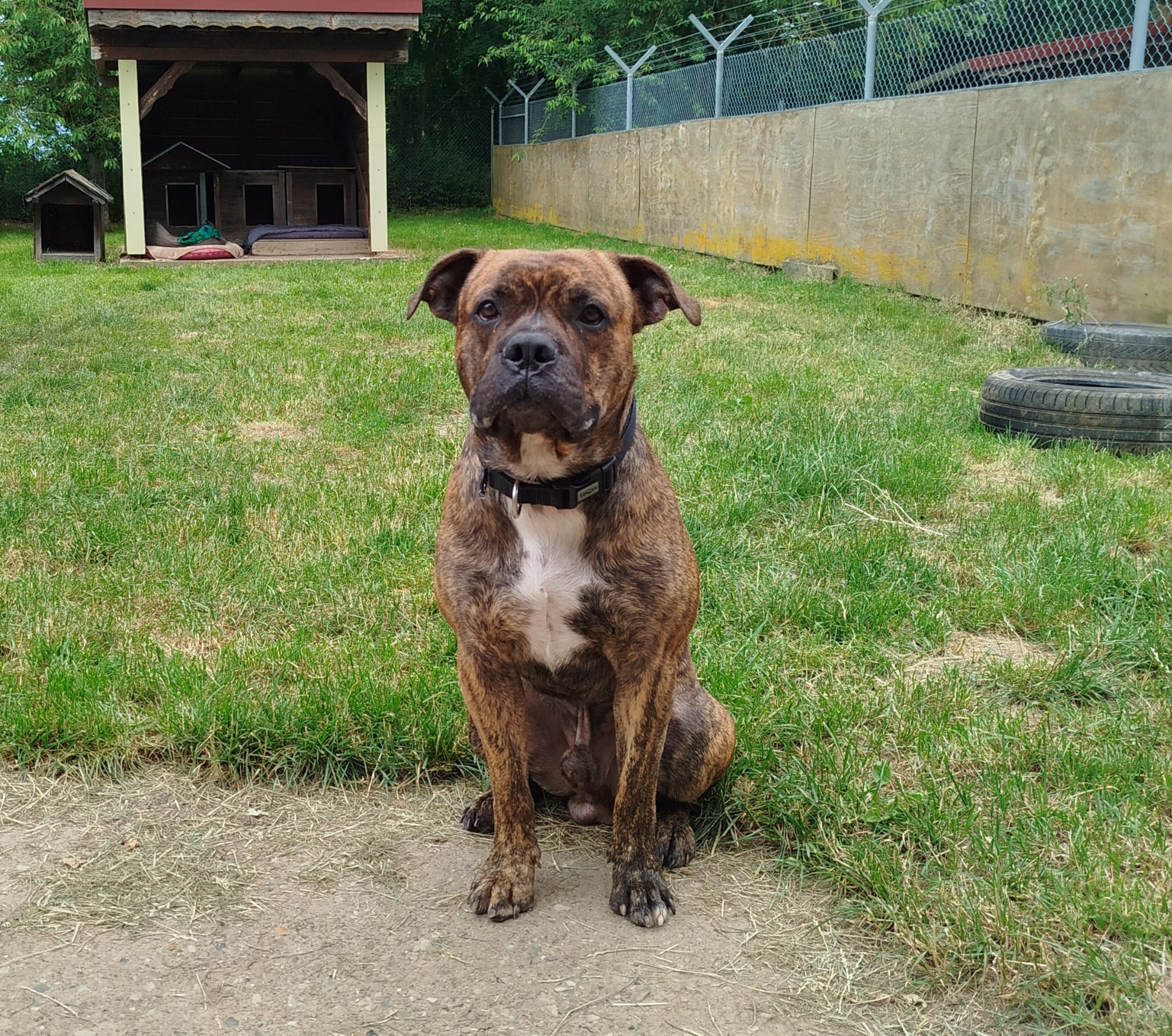 Spencer