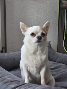 Marie