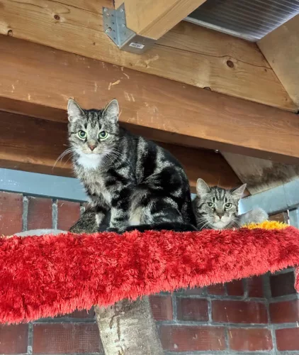 Louise & Thelma