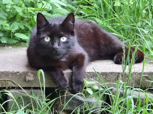 Sebastian
