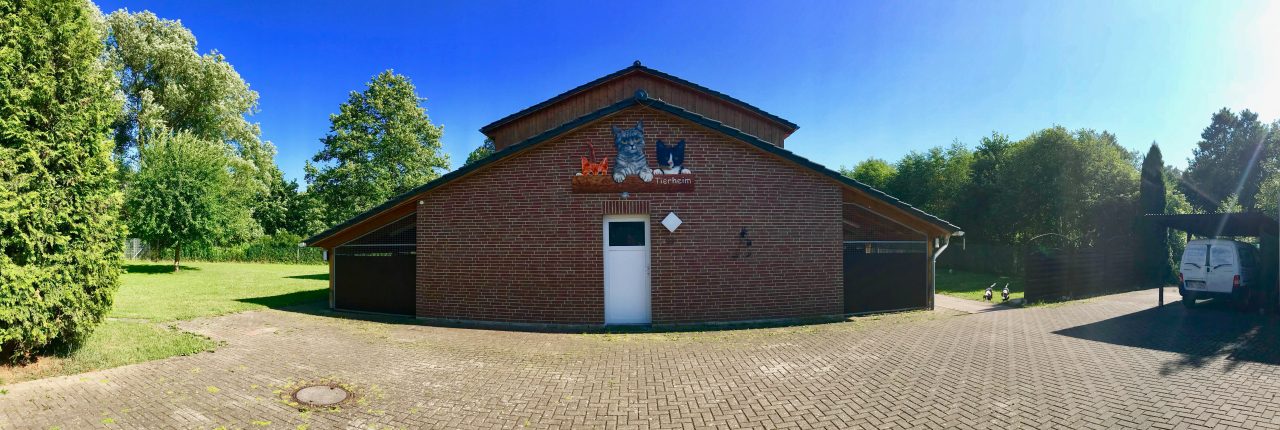 Gari – Hund, männlich, 37520 Osterode – zur Adoption
