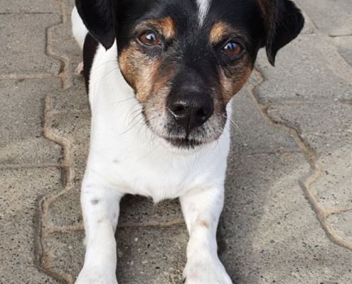 Max