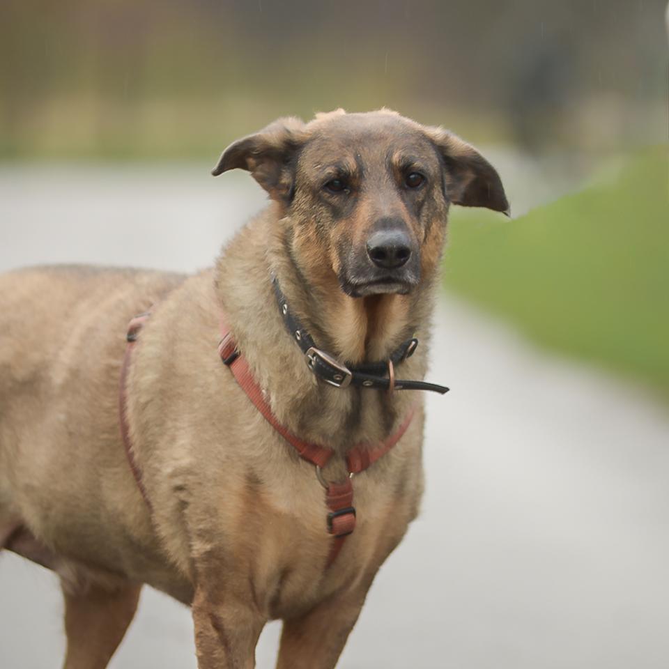 Max