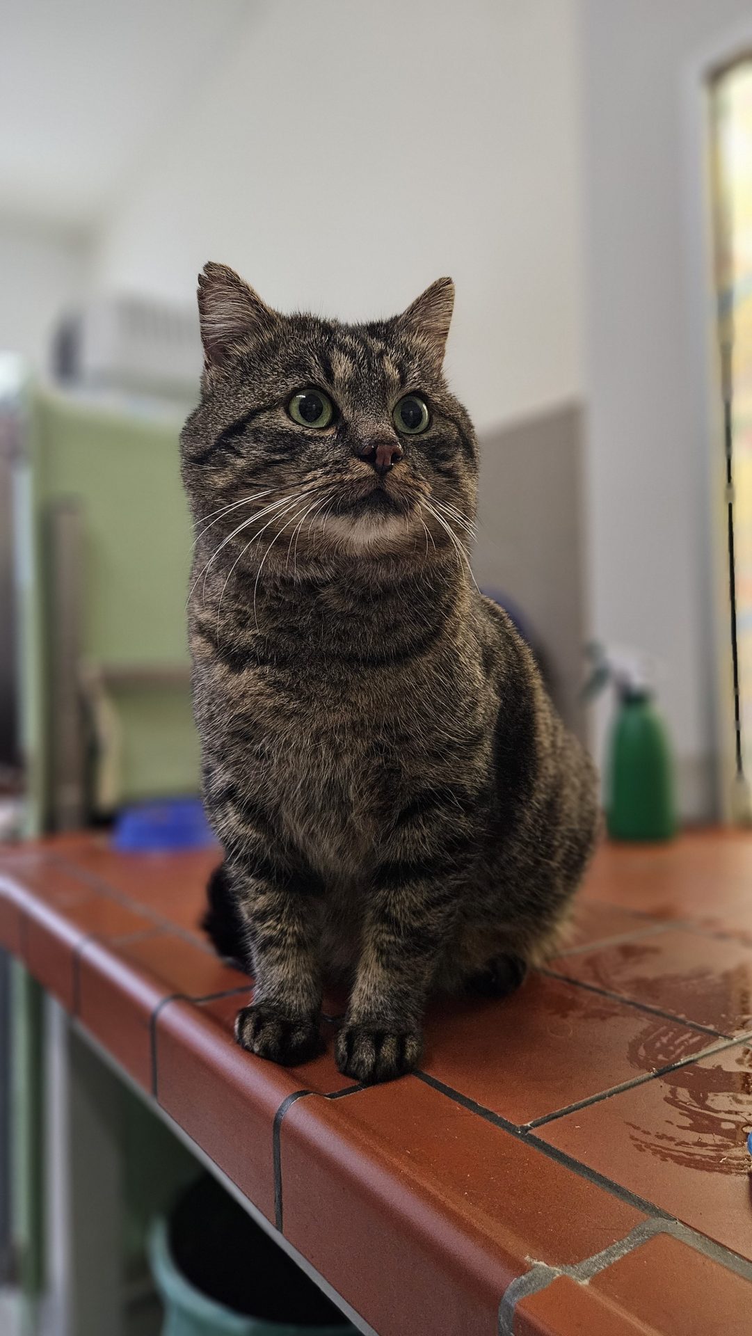 Theodore