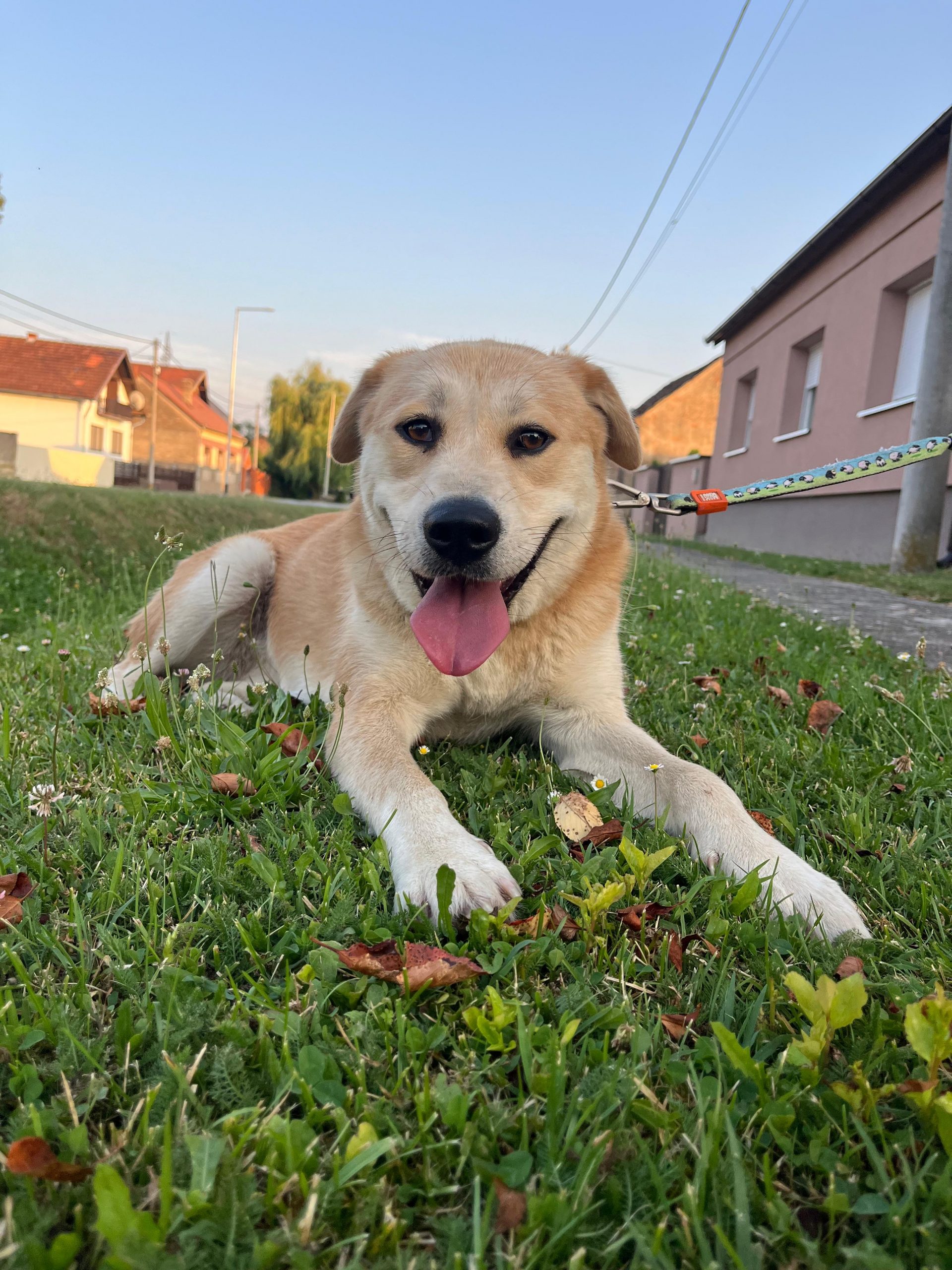 Gita