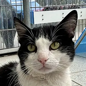 Sebastian