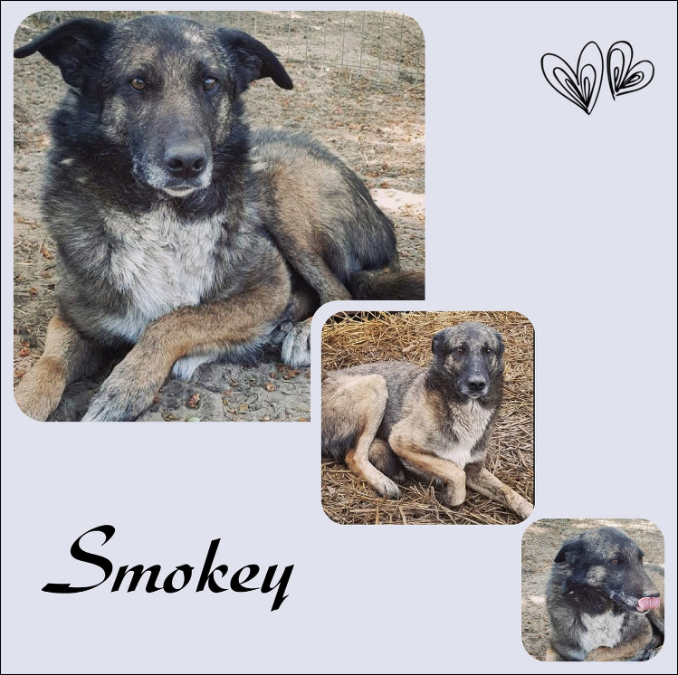 Smokey