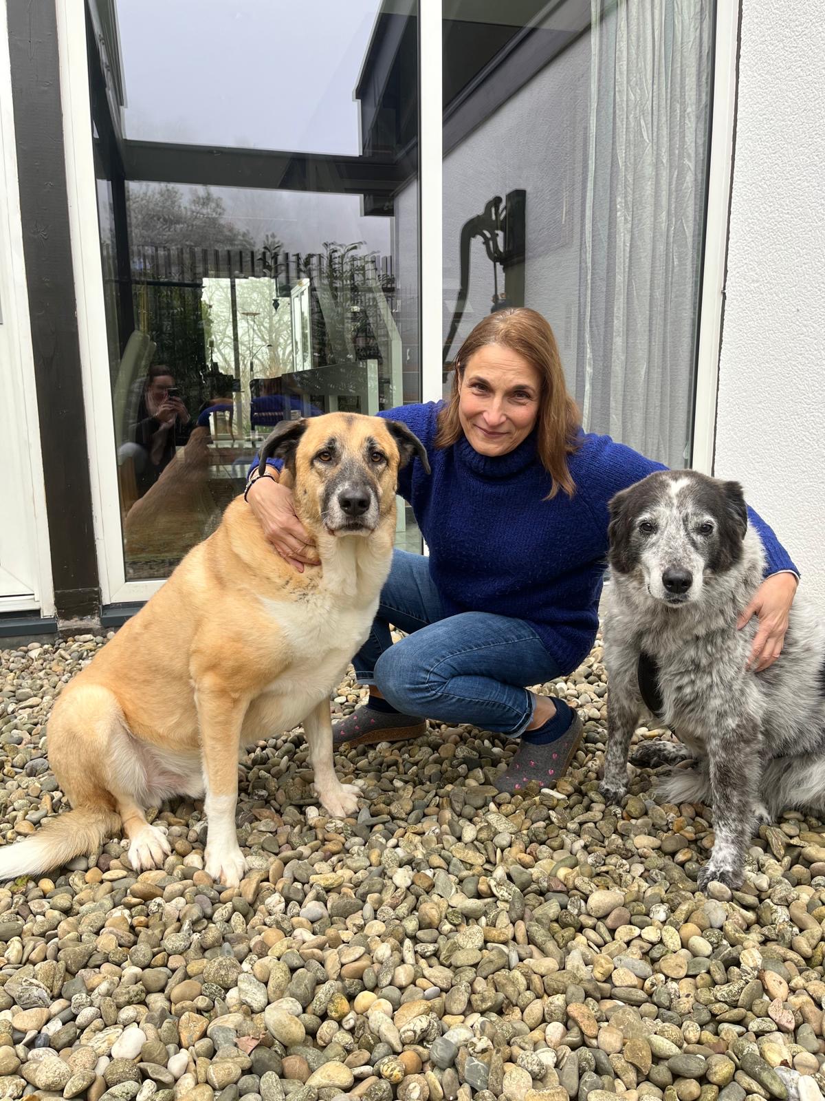 Elpida & Esperanza, Hoffnung für Straßenhunde e.V.