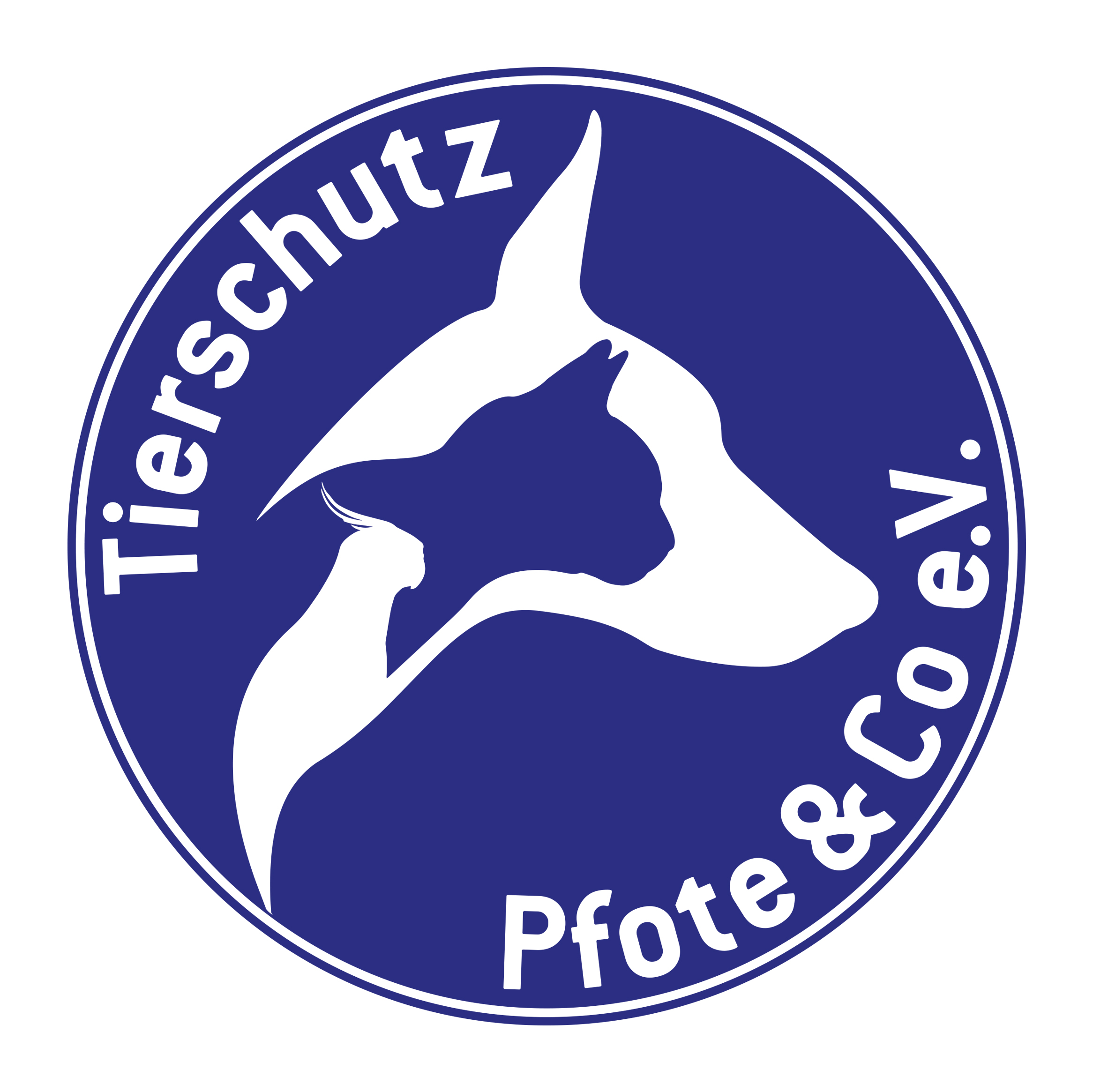 Tierschutz Pfote & Co e.V.