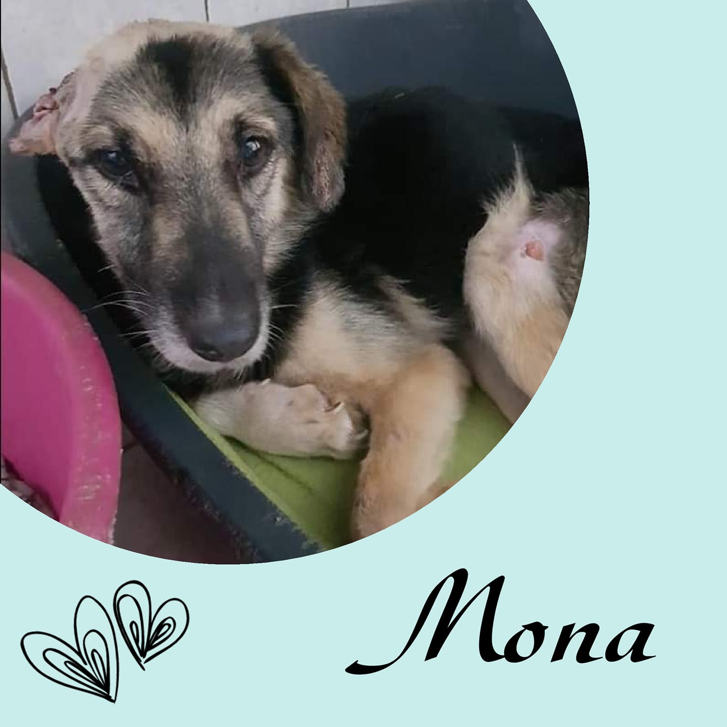 Mona