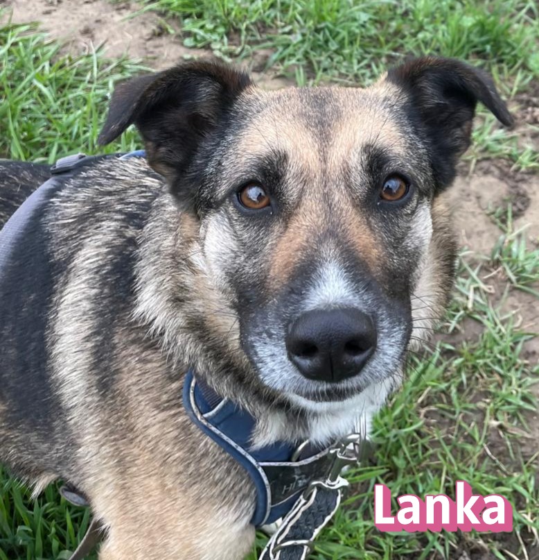 Lanka