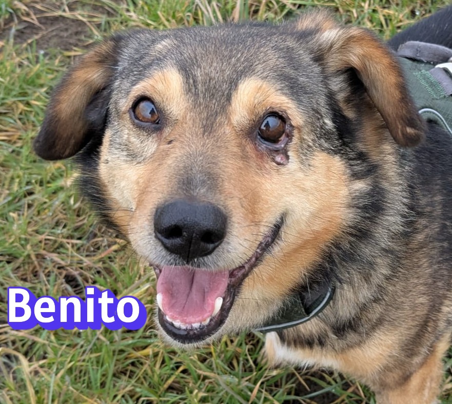 Benito