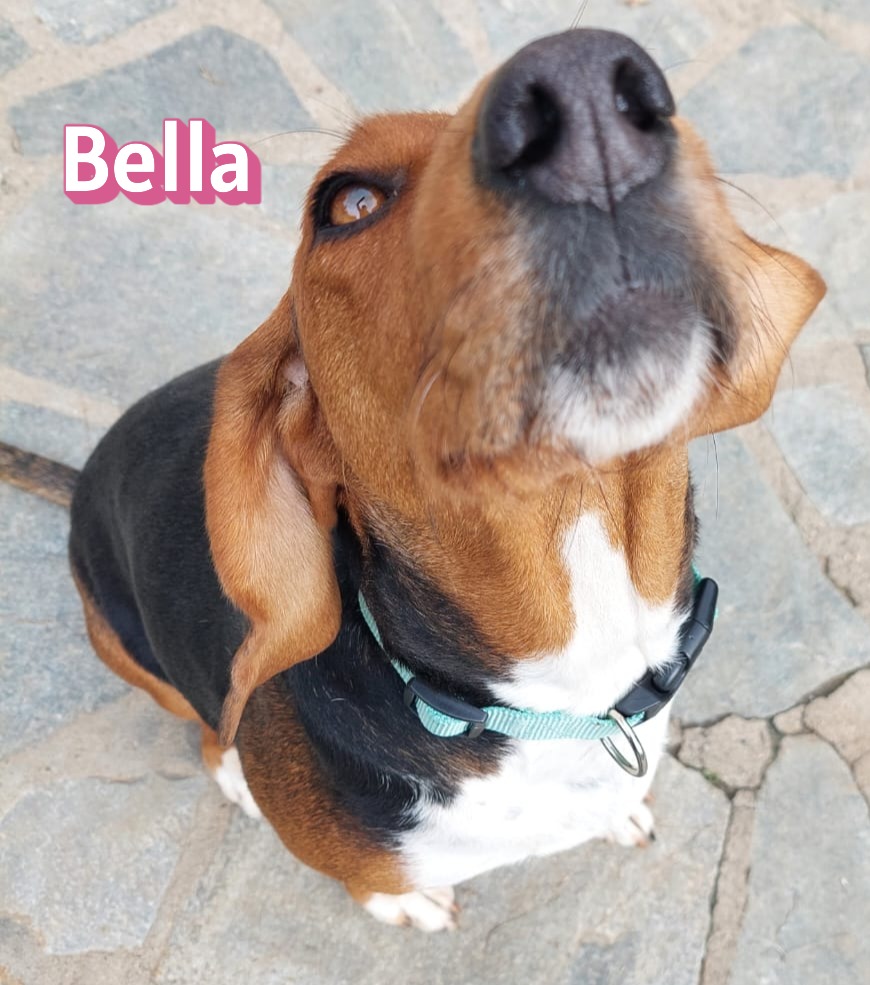 Bella