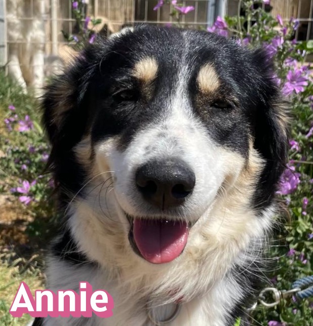 Annie