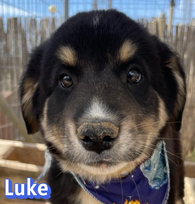 Luke