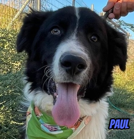 Paul