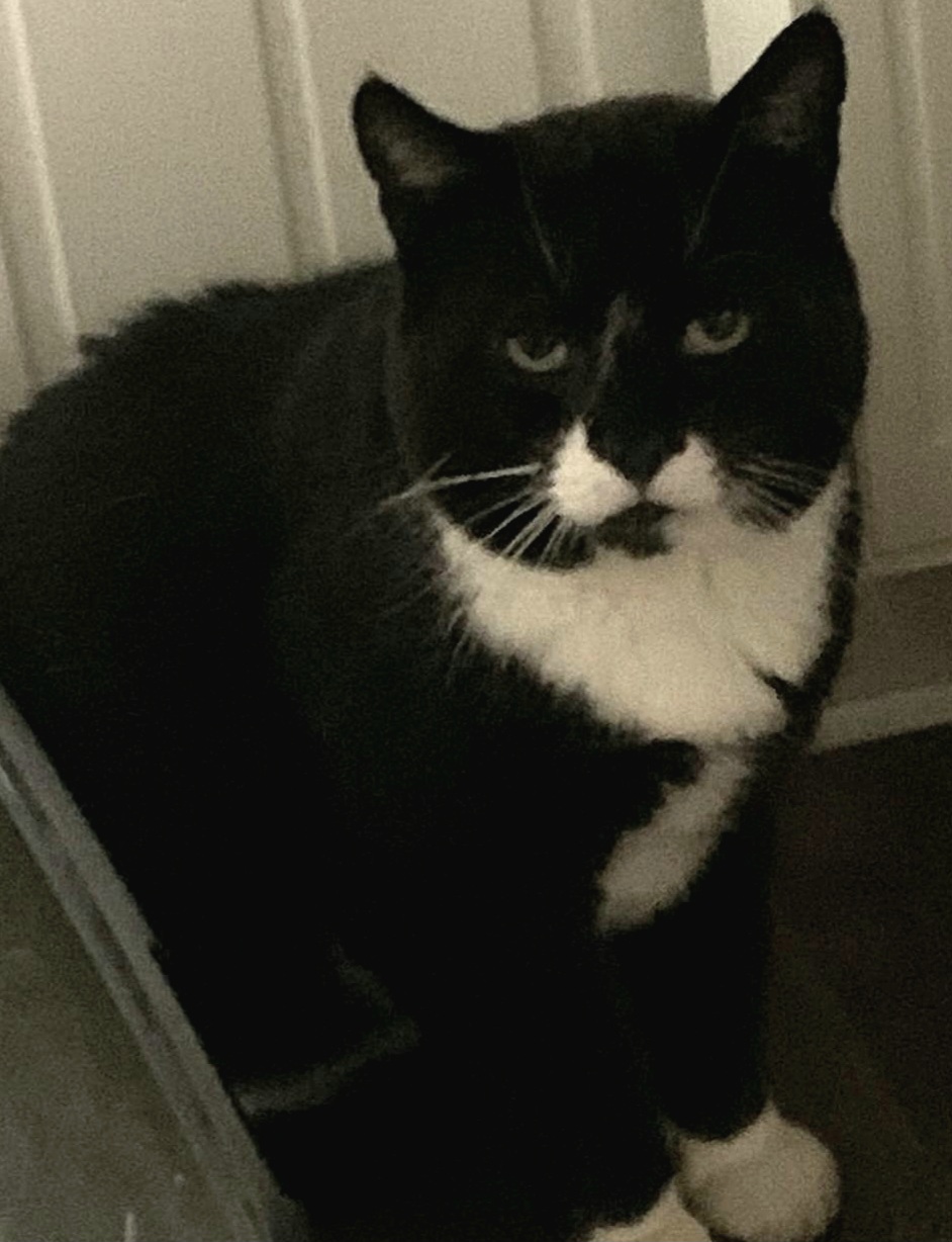 Boris