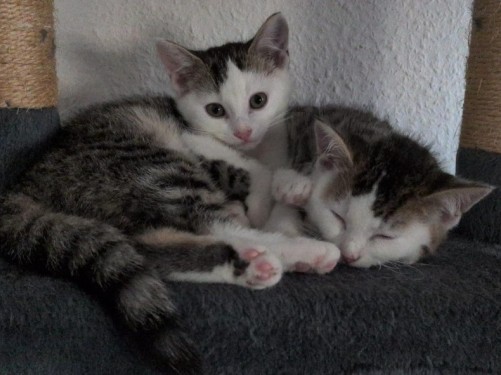 Maeve Und Isaac