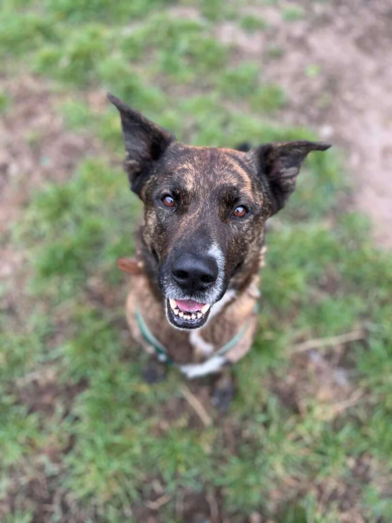 Zeus