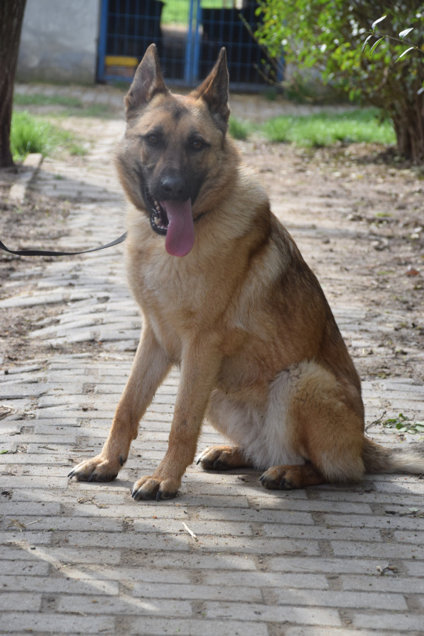 Amy