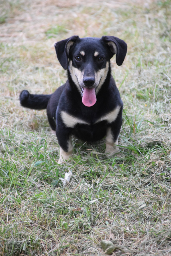 Esther