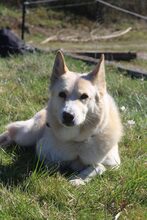 EIRA