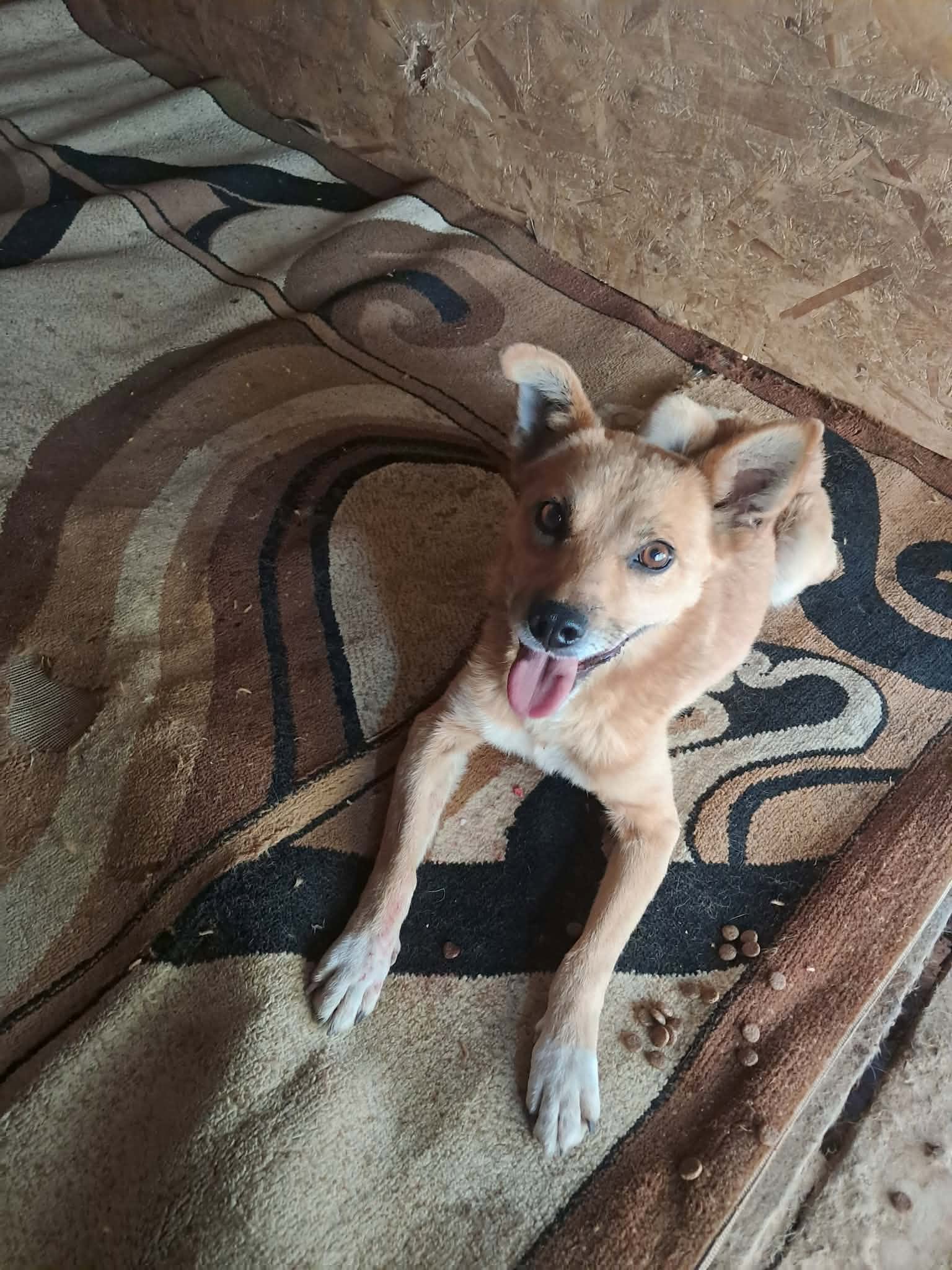 Ruby