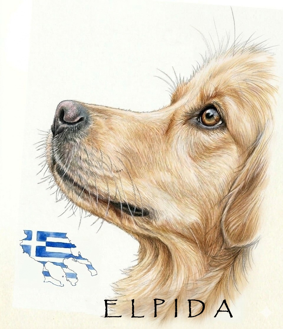 Elpida & Esperanza, Hoffnung für Straßenhunde e.V. Logo