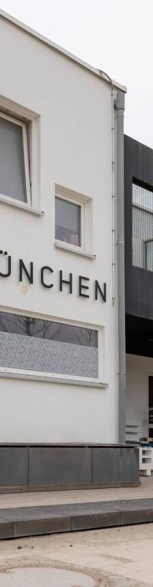 Feli – Europäisch Kurzhaar, Weibchen, 10 Jahre, 81829 München – Foto 3