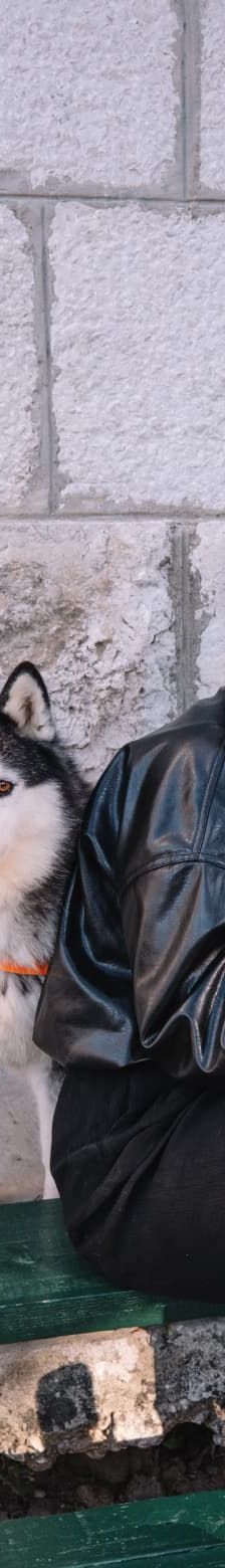Astra – Husky-Mischling, Weibchen, 6 Jahre 5 Monate, Nordic Strays e.V. – Foto 2