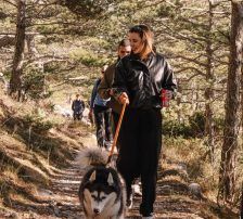 Astra – Husky-Mischling, Weibchen, 6 Jahre 5 Monate, Nordic Strays e.V. – Foto 22