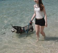Astra – Husky-Mischling, Weibchen, 6 Jahre 5 Monate, Nordic Strays e.V. – Foto 24
