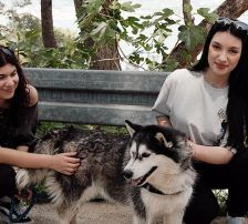 Astra – Husky-Mischling, Weibchen, 6 Jahre 5 Monate, Nordic Strays e.V. – Foto 27