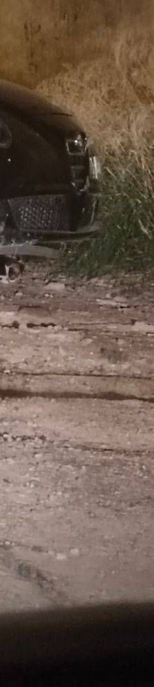 Carapan – Europäisch Kurzhaar, Weibchen, 4 Monate, 65520 Bad Camberg – Foto 6