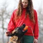 Anton – Malinois, Männchen, 6 Jahre 7 Monate, 13057 Berlin – Foto 5